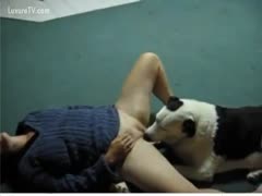A juice-wet crevice is licked by Mutt.